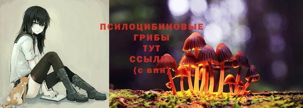 герыч Бугульма