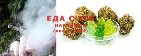 МДПВ Бородино