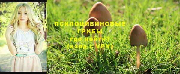 apvp Бронницы