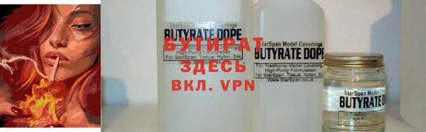 МДПВ Бородино