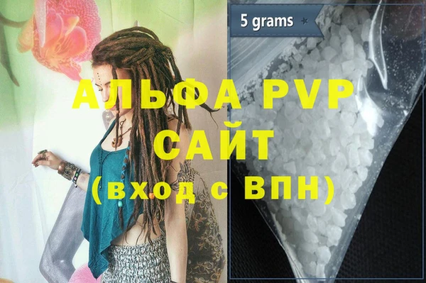 МДПВ Бородино