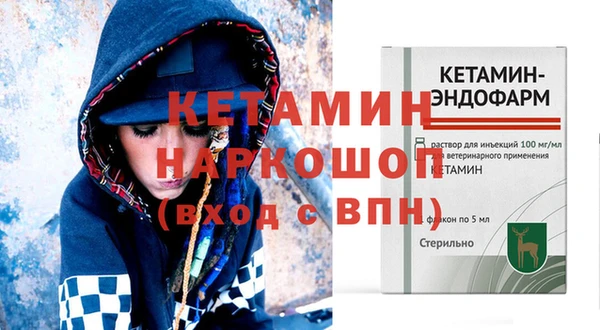 МДПВ Бородино