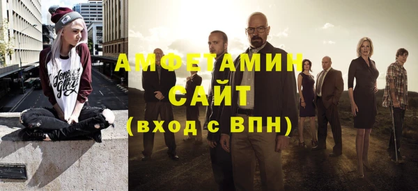 МДПВ Бородино