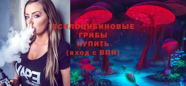 МДПВ Бородино