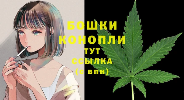 МДПВ Бородино