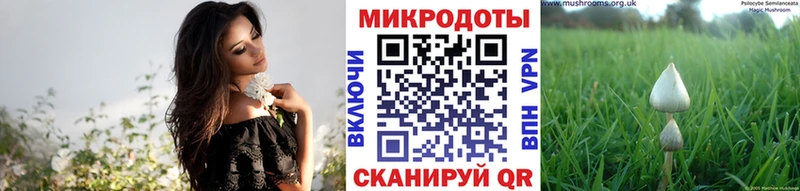 Псилоцибиновые грибы мухоморы  Тверь 