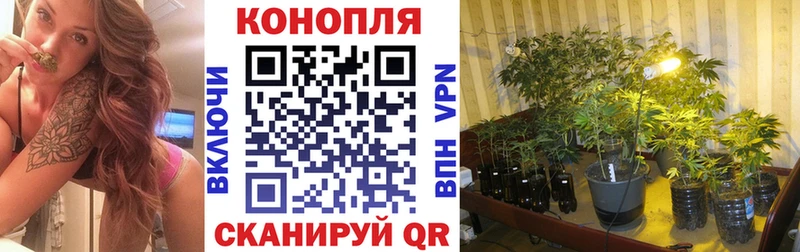 цена наркотик  Тверь  Шишки марихуана VHQ 